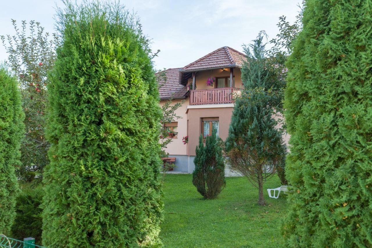 Apartment Ivan & Iva Gornji Vaganac Luaran gambar